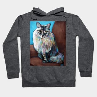 Lucky the Maine Coon Cat in a Chair Hoodie